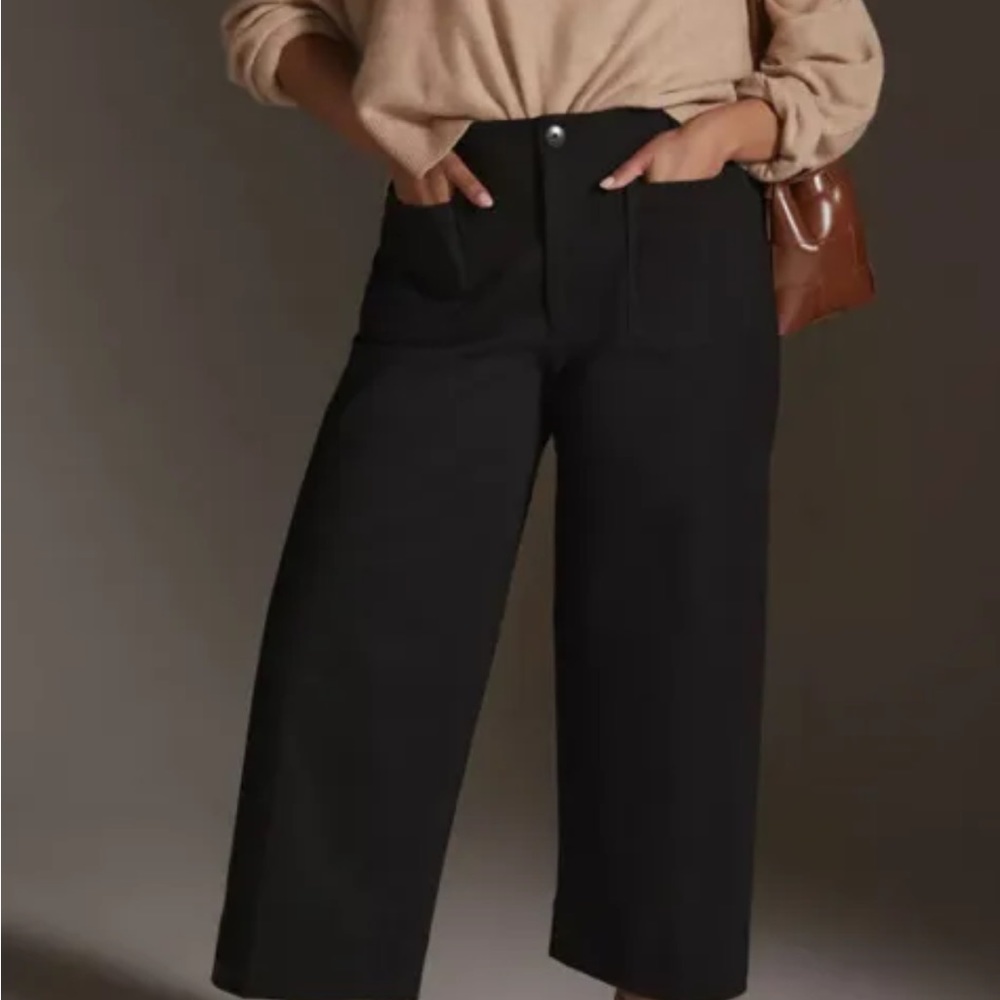 A+ ANTHROPOLOGIE COLETTE CROPPED WIDE LEG PANT PLUS SIZE 20W BLACK